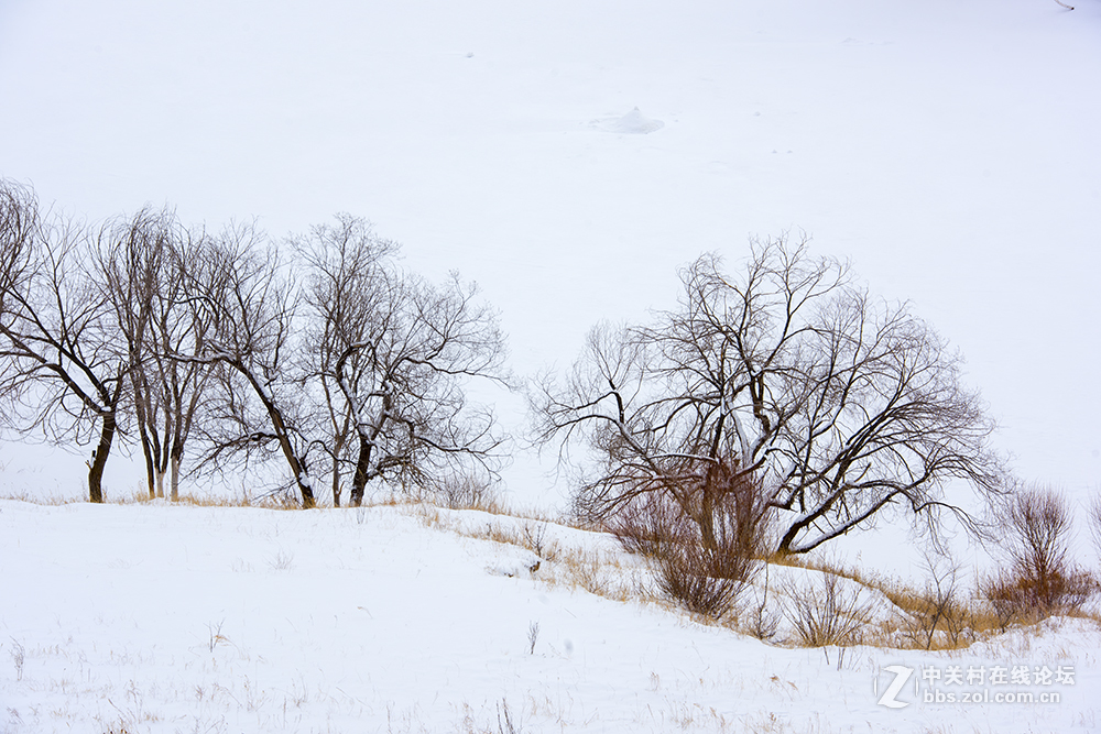 浓妆淡抹之坝上冬景