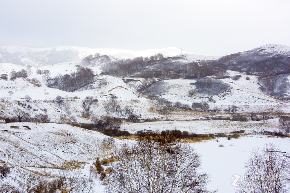 浓妆淡抹之坝上冬景