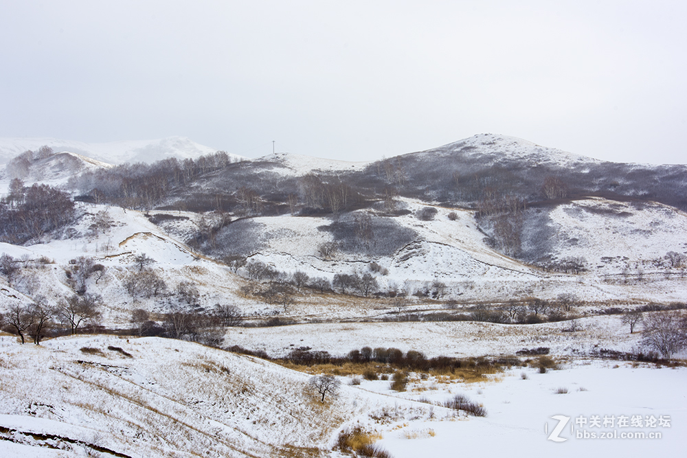浓妆淡抹之坝上冬景