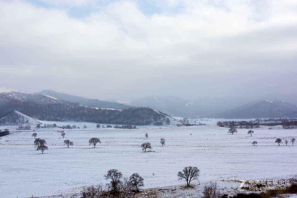 浓妆淡抹之坝上冬景