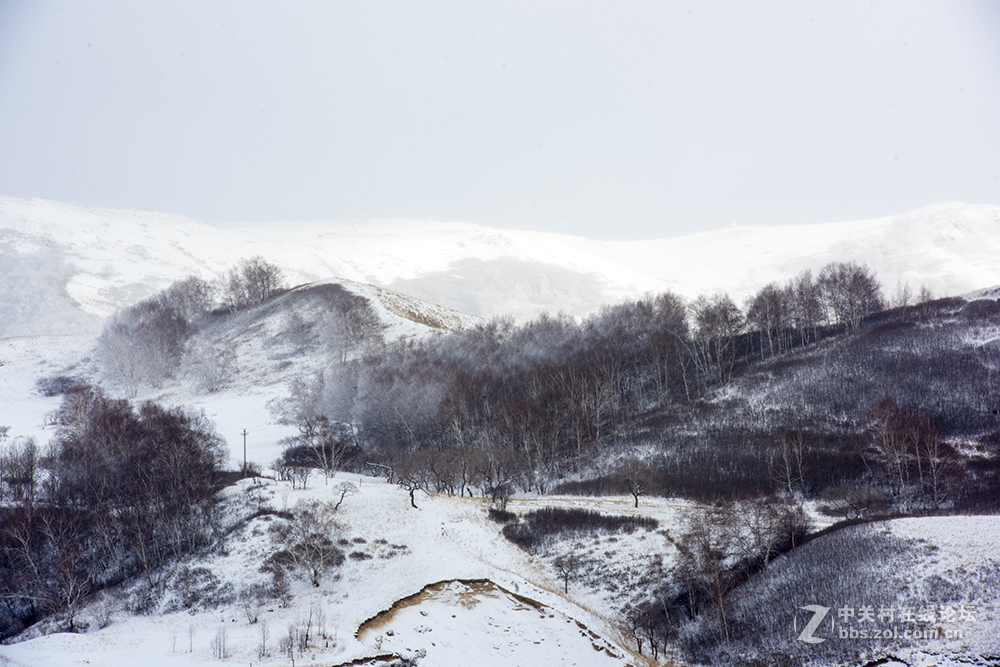 浓妆淡抹之坝上冬景