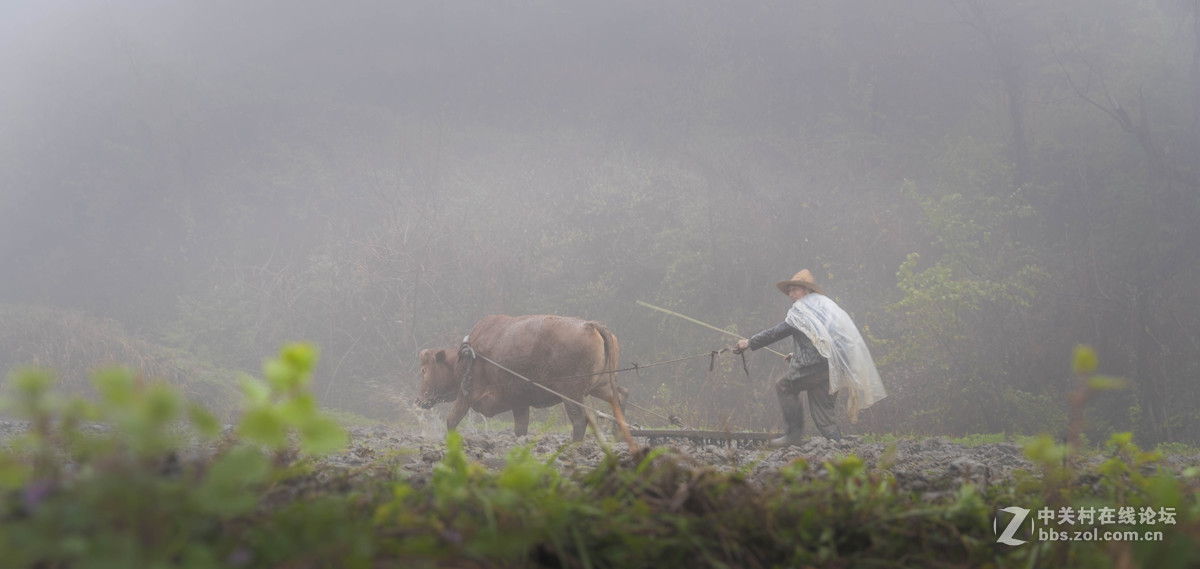 沾衣不湿杏花雨、吹面不寒杨柳风。