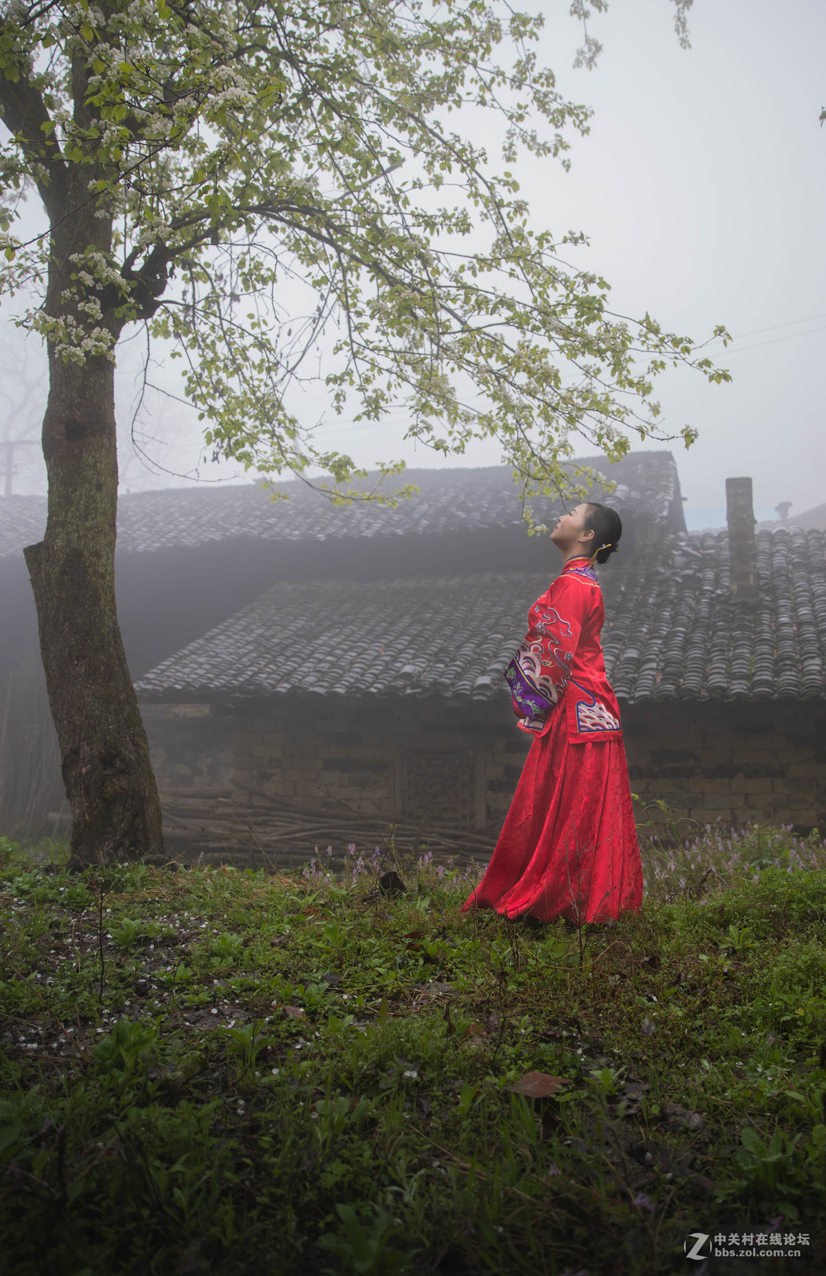 沾衣不湿杏花雨、吹面不寒杨柳风。