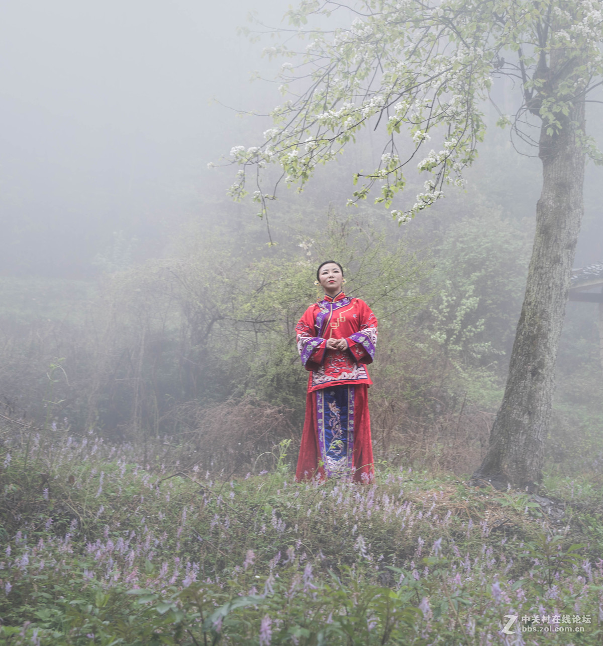 沾衣不湿杏花雨、吹面不寒杨柳风。