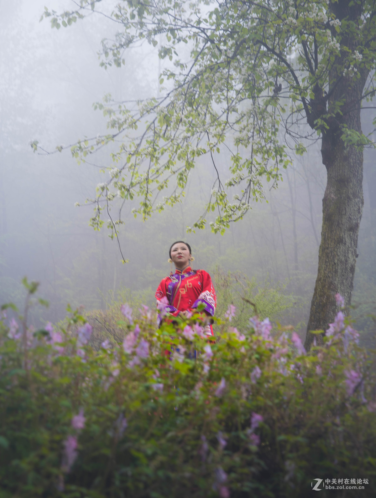 沾衣不湿杏花雨、吹面不寒杨柳风。