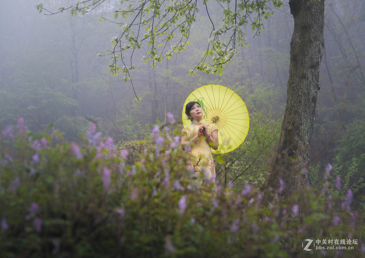 沾衣不湿杏花雨、吹面不寒杨柳风。
