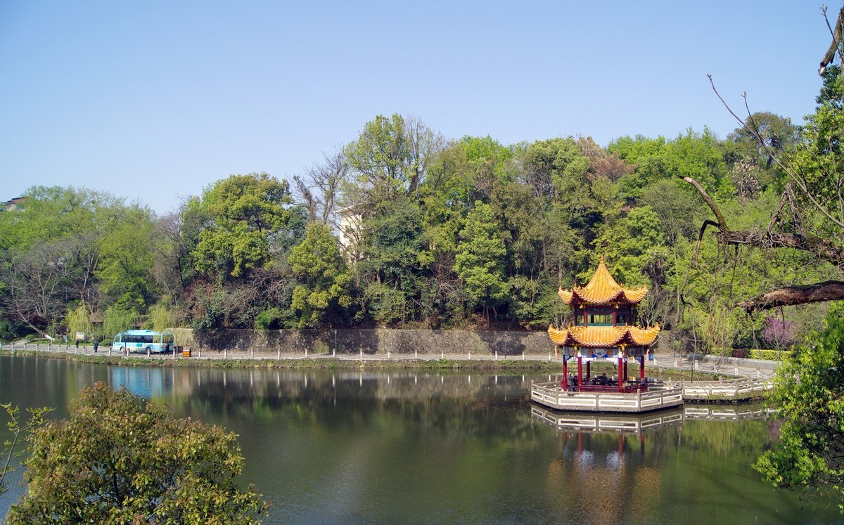 〖 春 天 的 莲 花 塘 〗