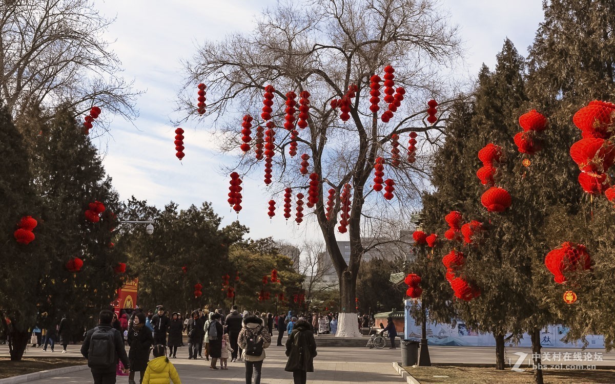 #佳能/这个春节，值得被记录# 春节庙会拾零