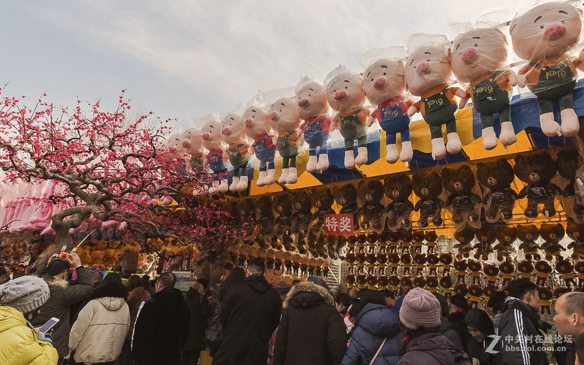 #佳能/这个春节，值得被记录# 春节庙会拾零
