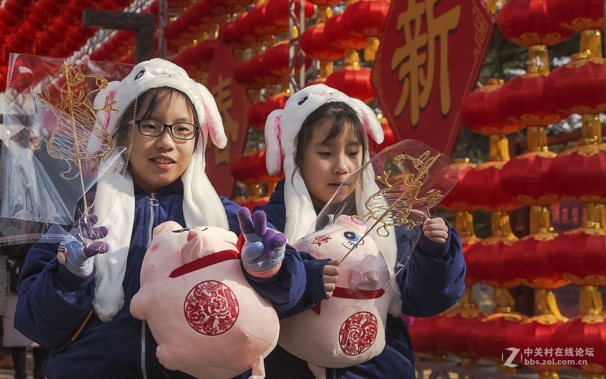 #佳能/这个春节，值得被记录# 春节庙会拾零