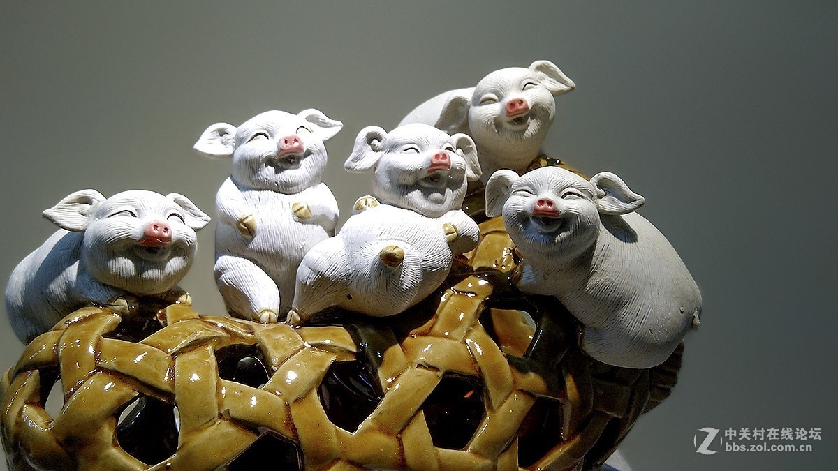 2019年手机【 1 】---陶猪祝猪年家肥屋润-中关村在线摄影论坛