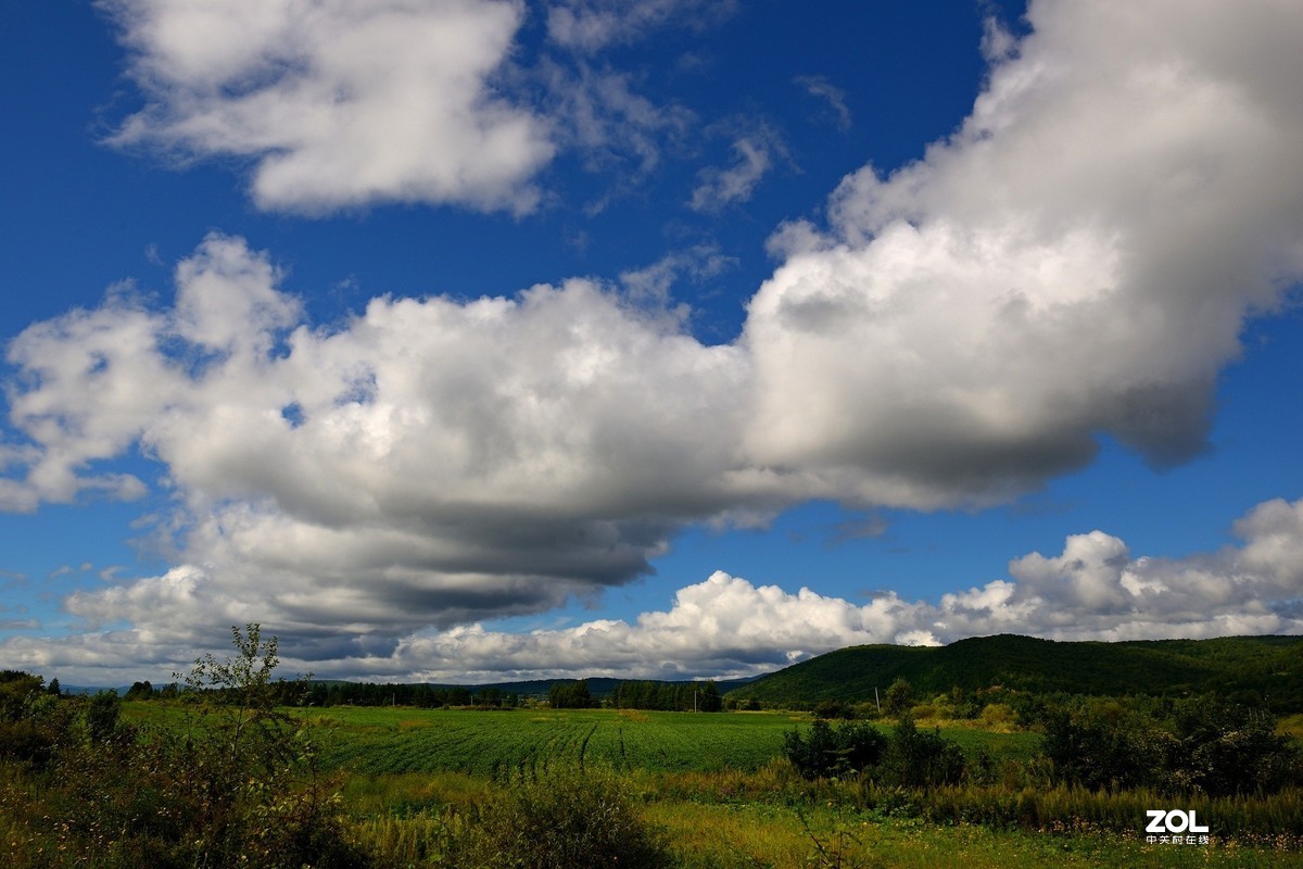 休闲随拍（384）