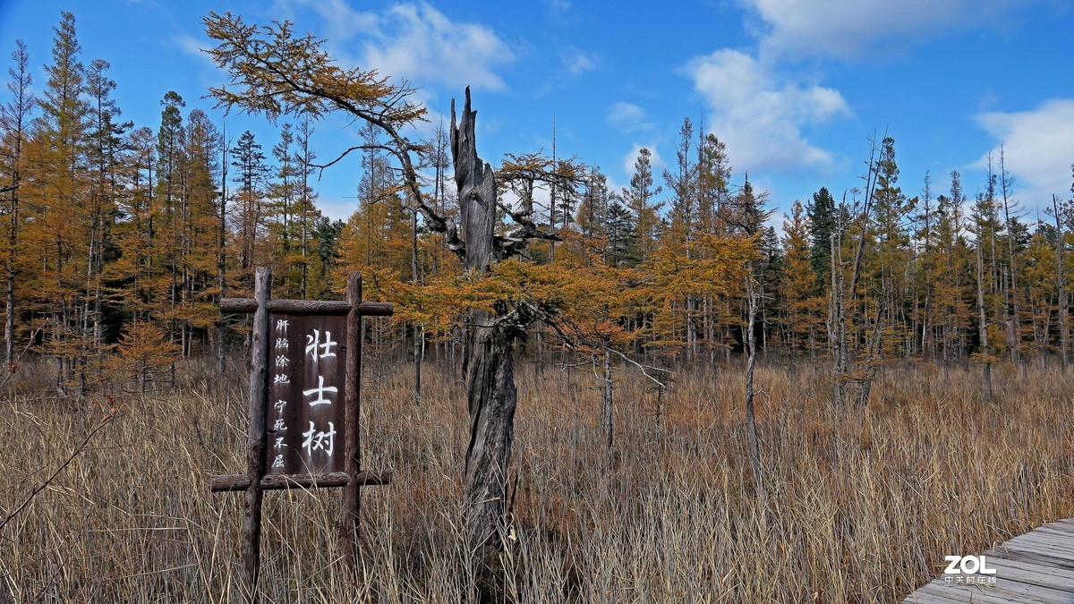 大美吉林 ------ 月亮湾湿地
