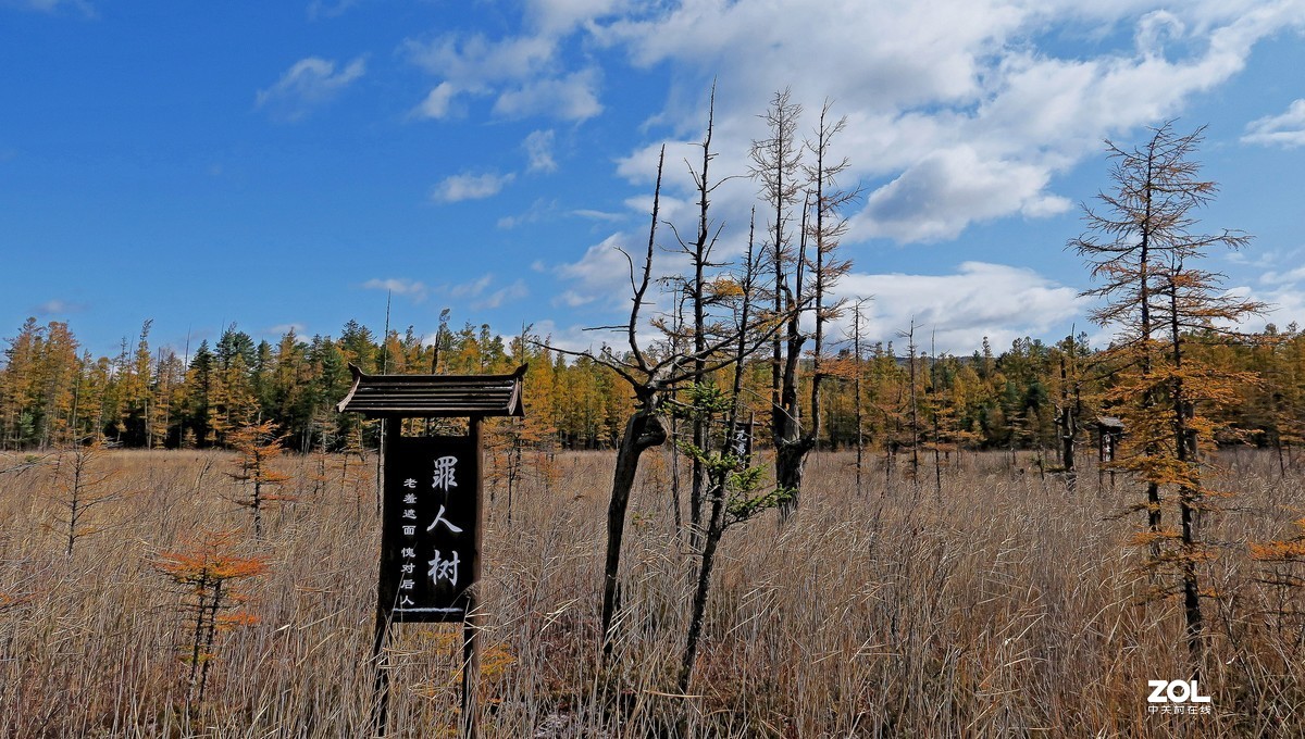 大美吉林 ------ 月亮湾湿地
