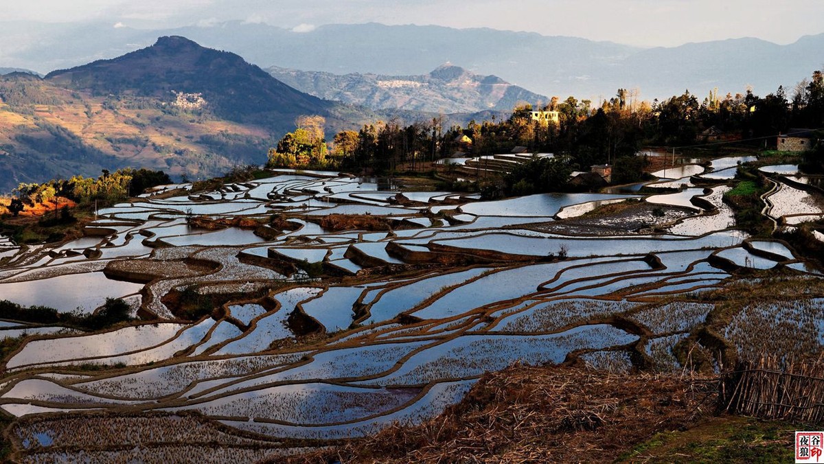 行摄在元阳哈尼梯田间【一】