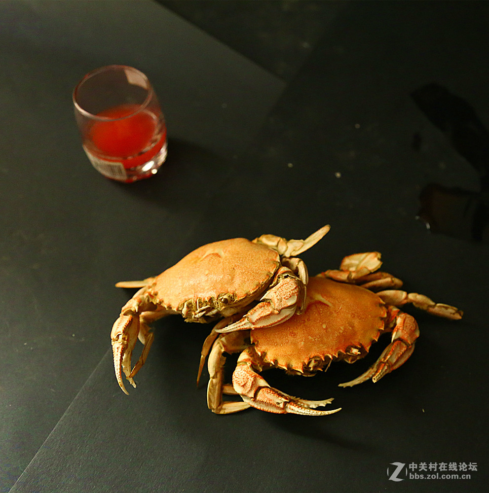 静物练习螃蟹玻璃杯