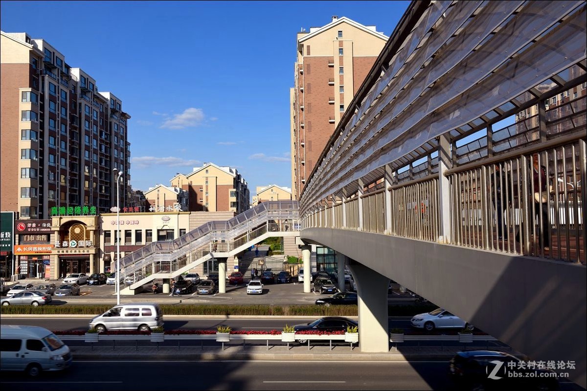 休闲随拍（308）