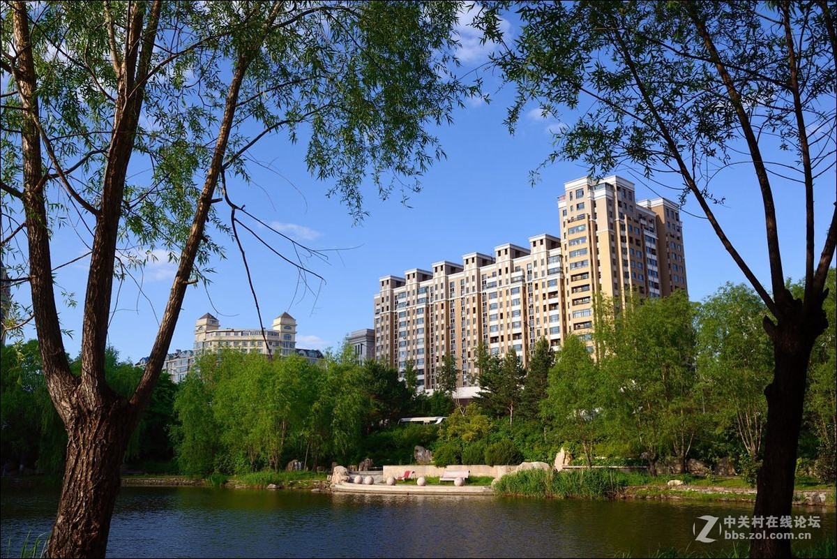 休闲随拍（308）