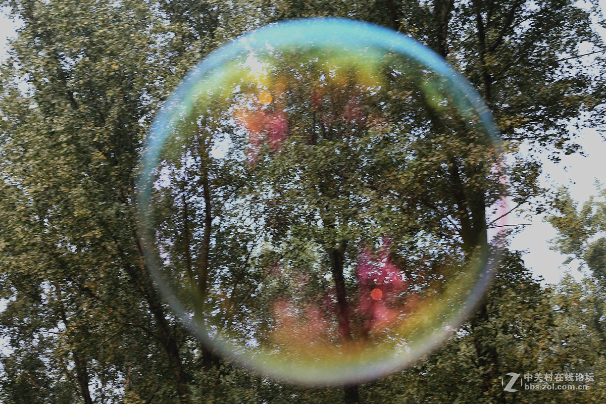 飞舞的泡泡1泡泡内看风景