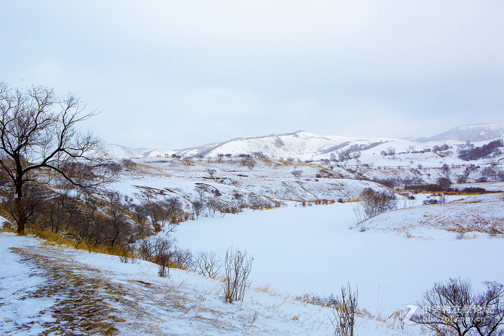 浓妆淡抹之坝上冬景