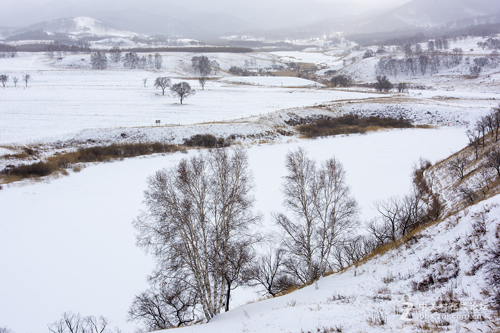 浓妆淡抹之坝上冬景
