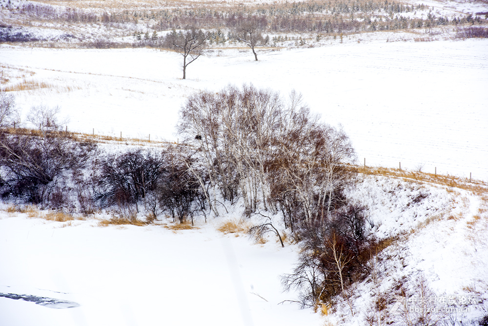 浓妆淡抹之坝上冬景