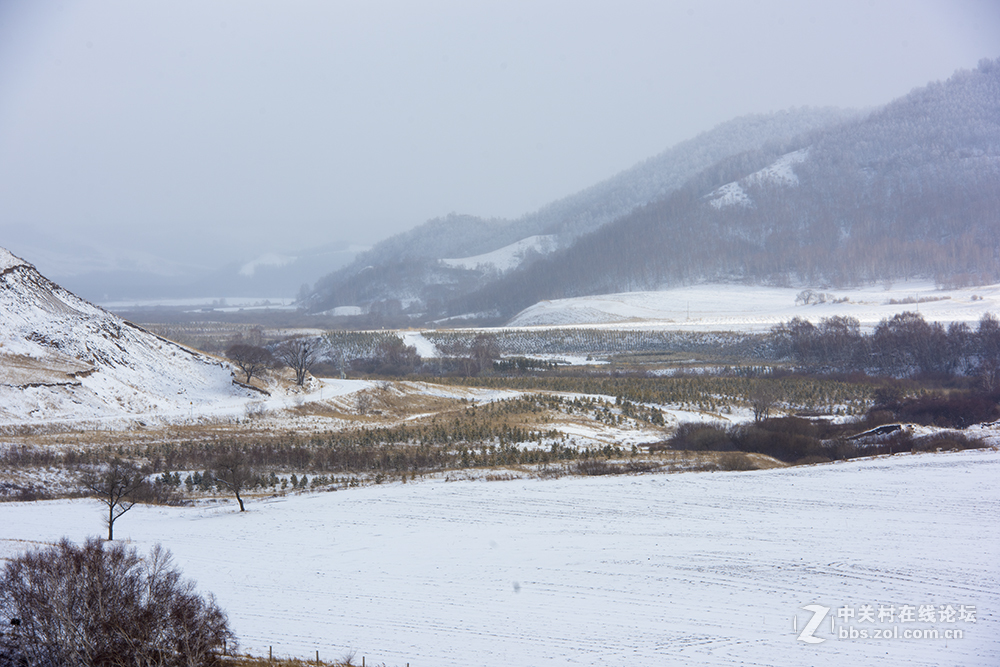 浓妆淡抹之坝上冬景