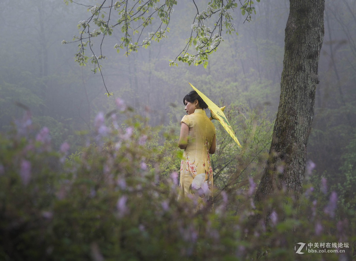 沾衣不湿杏花雨、吹面不寒杨柳风。