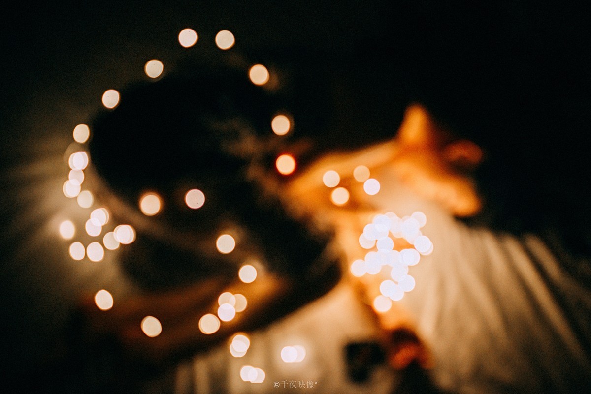 【黑夜中的温暖】