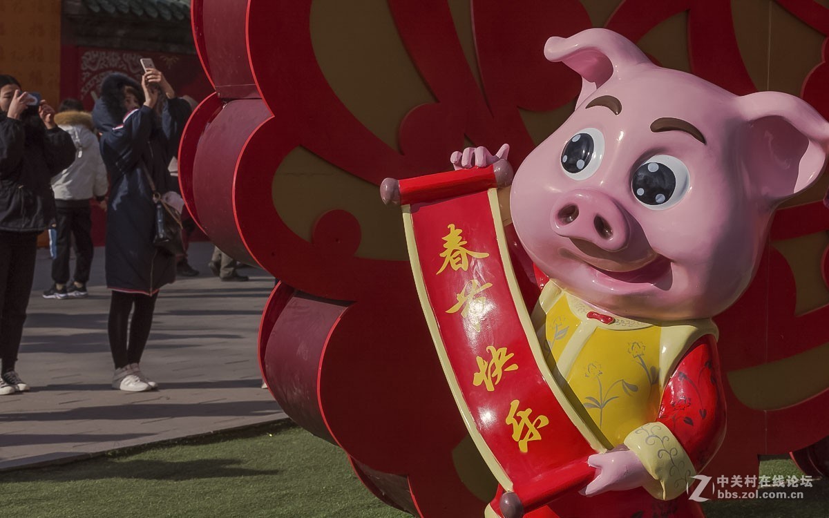 #佳能/这个春节，值得被记录# 春节庙会拾零