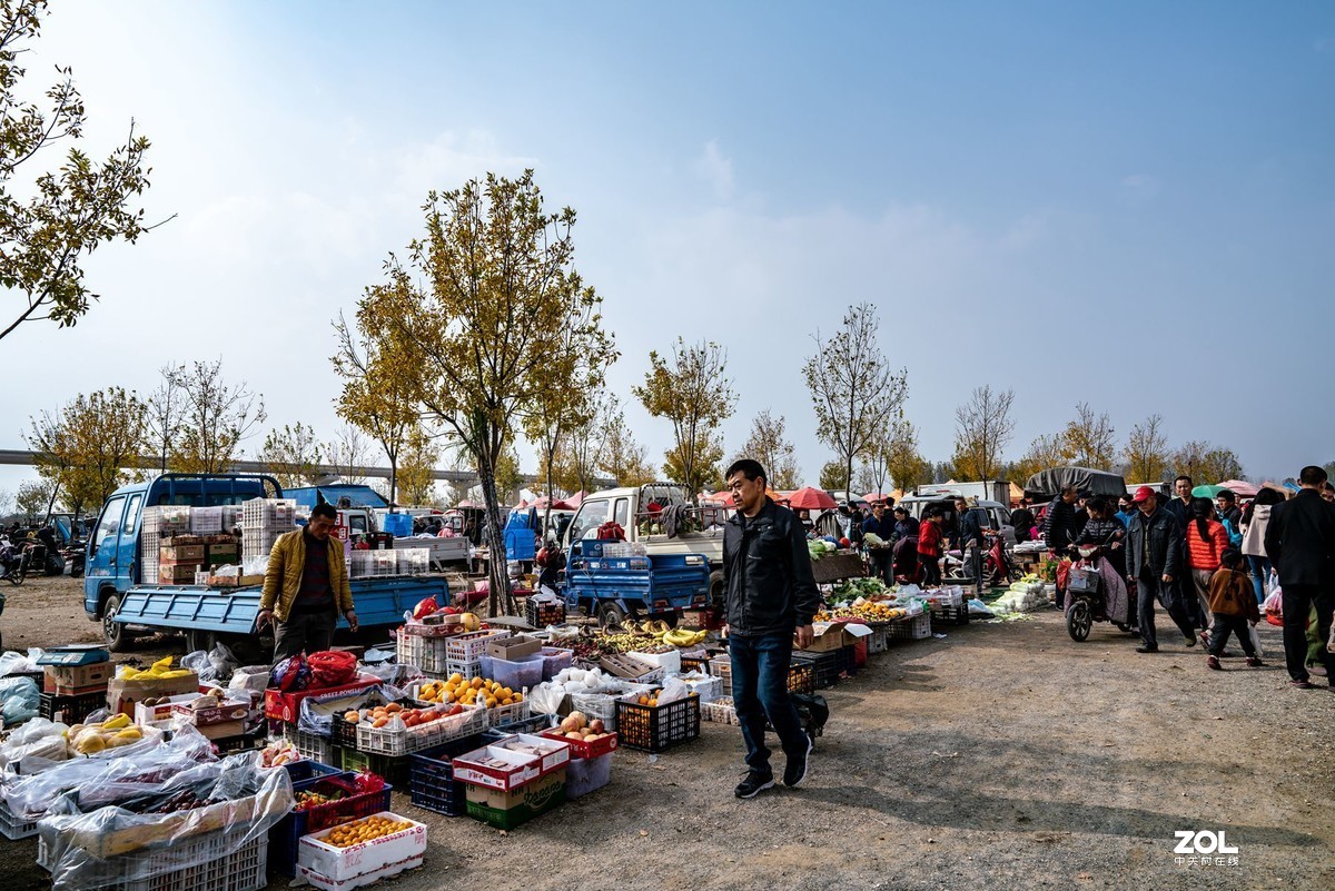 西海岸泊里大集纪实