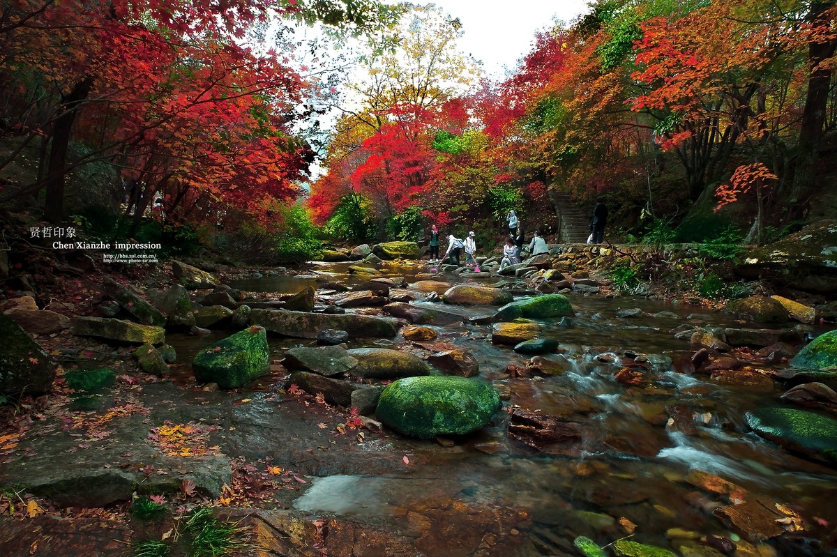 【秋意浓】-- 卡尔·蔡司Carl Zeiss Distagon T* 21mm f/2.8 ZF 2 的慢门表现！！