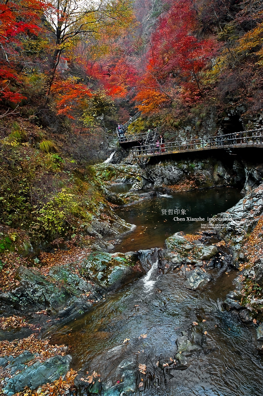 【秋意浓】-- 卡尔·蔡司Carl Zeiss Distagon T* 21mm f/2.8 ZF 2 的慢门表现！！