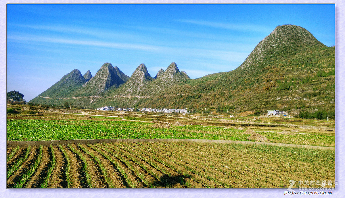 冬日冬景（续   手机版）