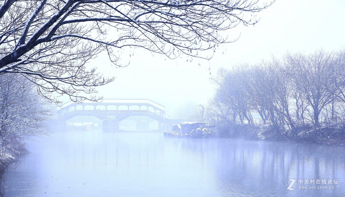 雪中的西溪湿地