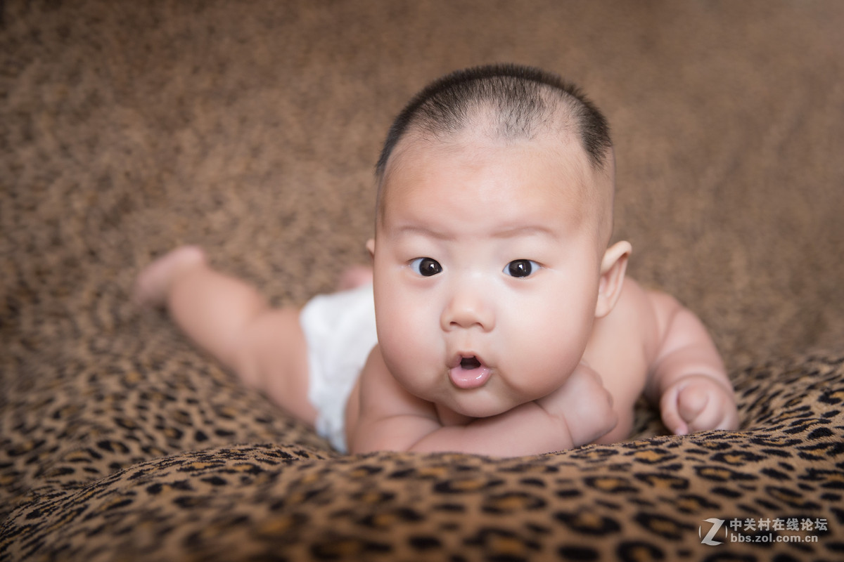 可爱可爱两个月婴儿吸吮的拳头.高清摄影大图-千库网