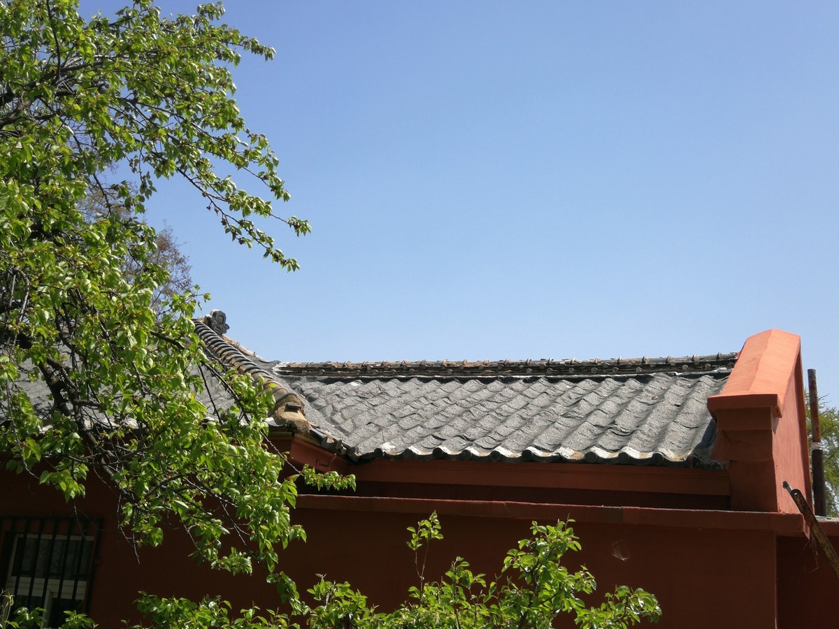 拍不够的太阳沟（5）