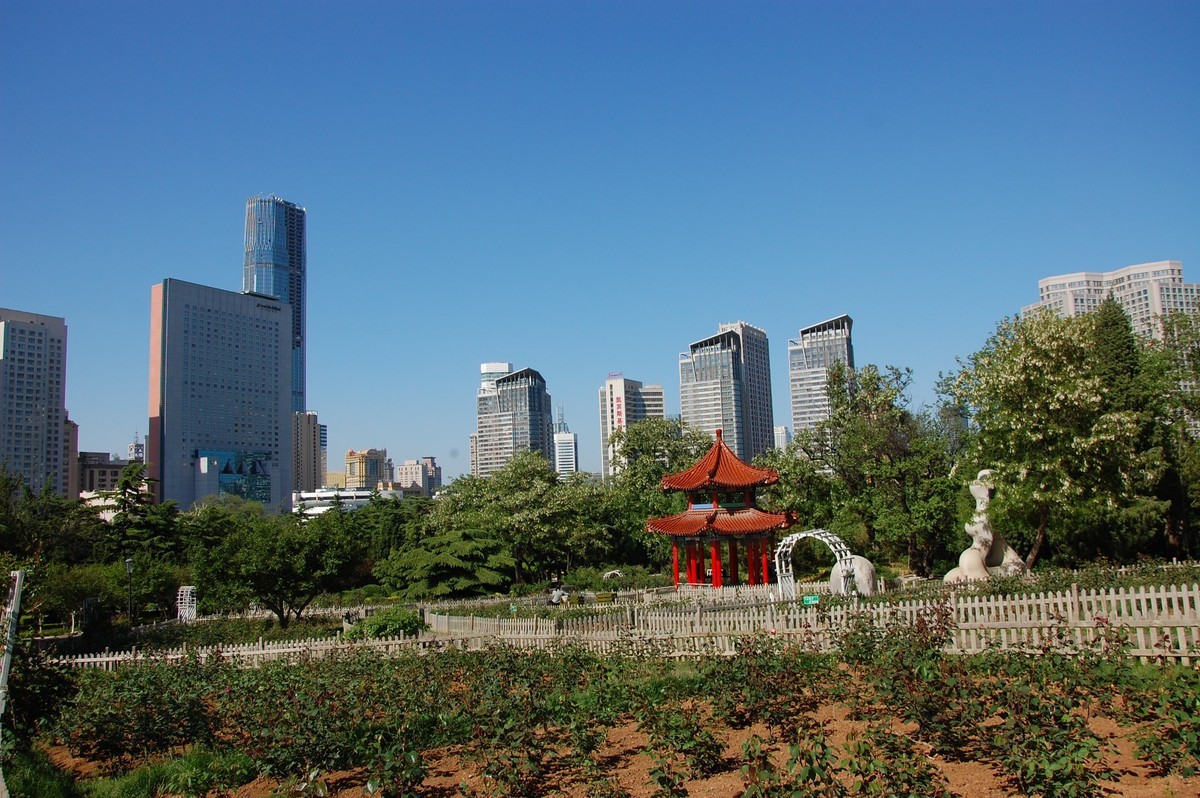 阳光、蓝天、公园随拍