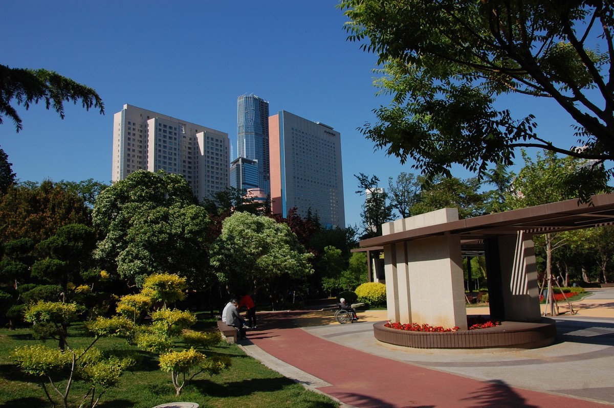 阳光、蓝天、公园随拍