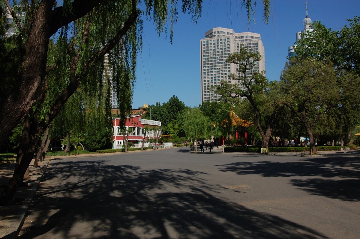 阳光、蓝天、公园随拍