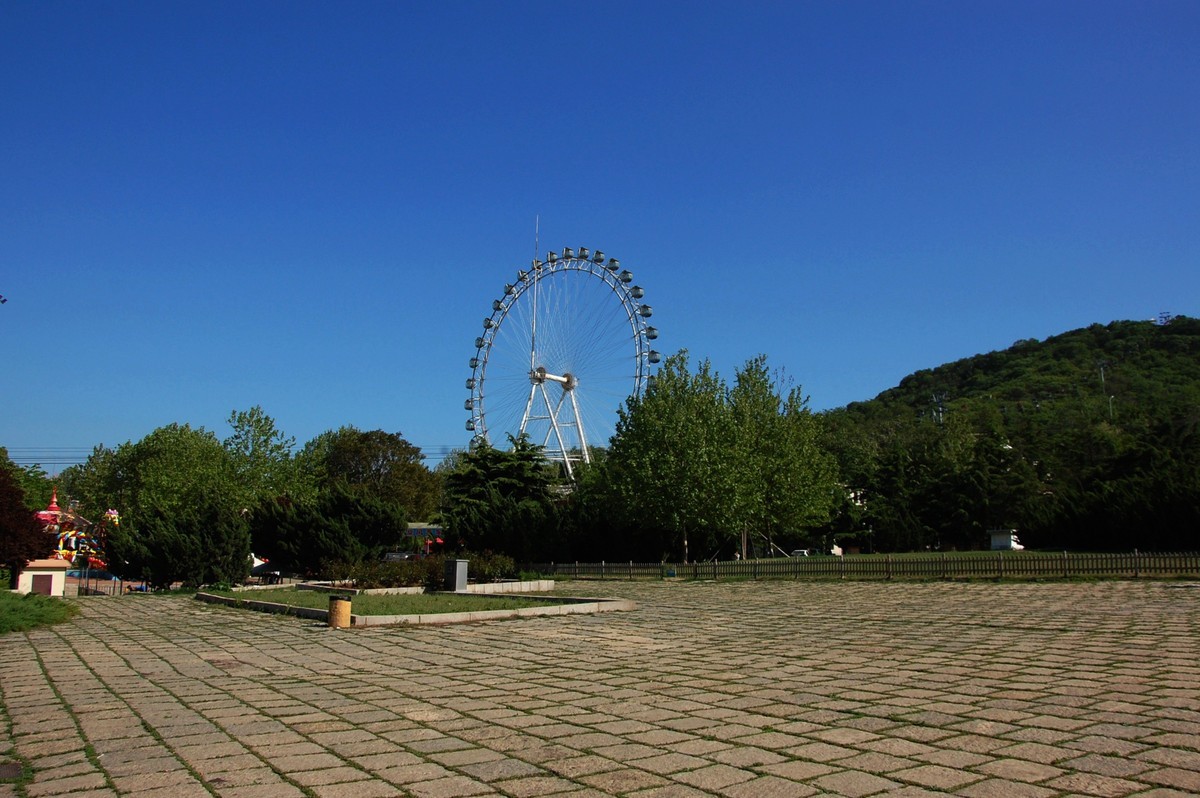 阳光、蓝天、公园随拍