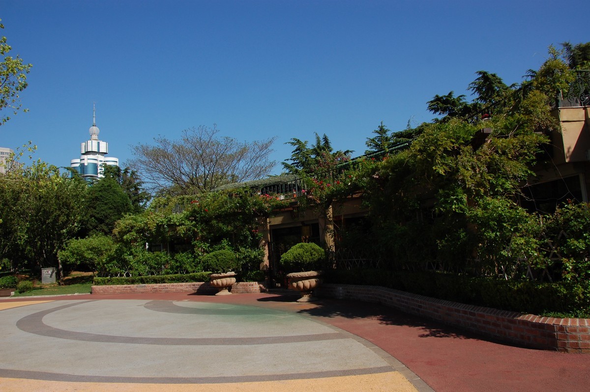 阳光、蓝天、公园随拍