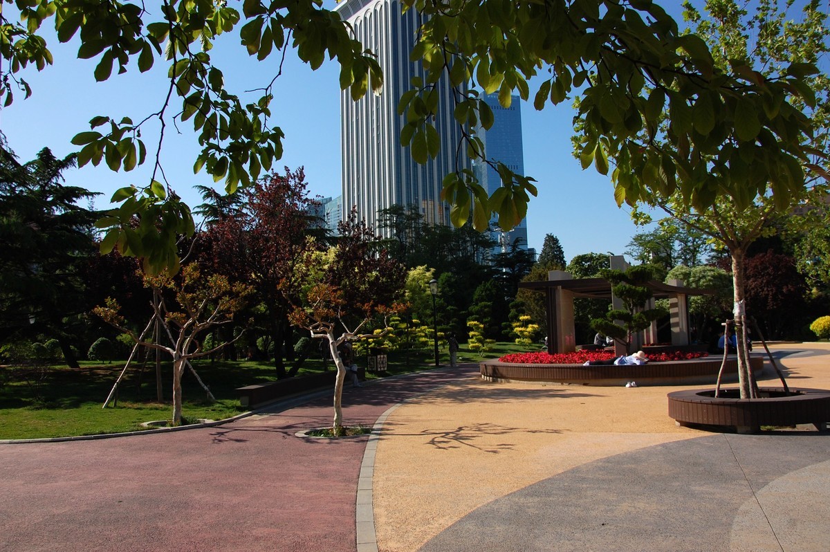 阳光、蓝天、公园随拍