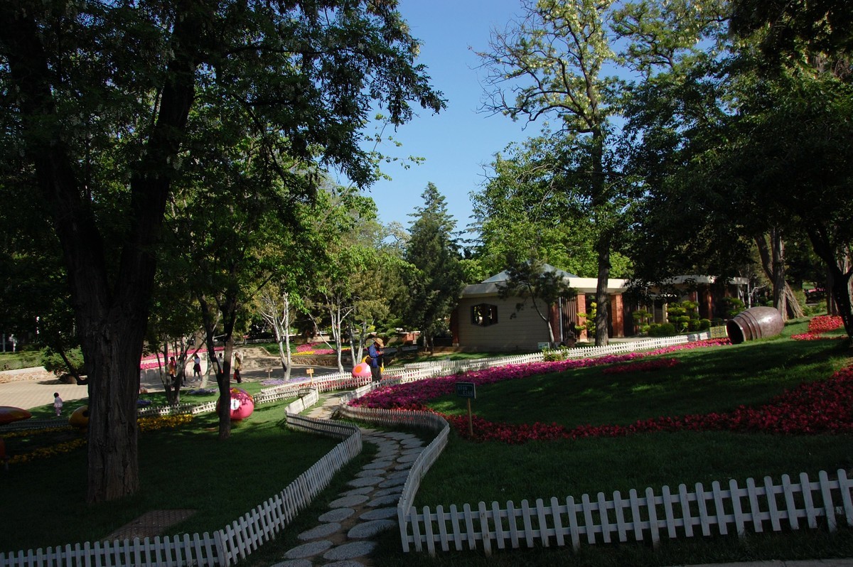 阳光、蓝天、公园随拍