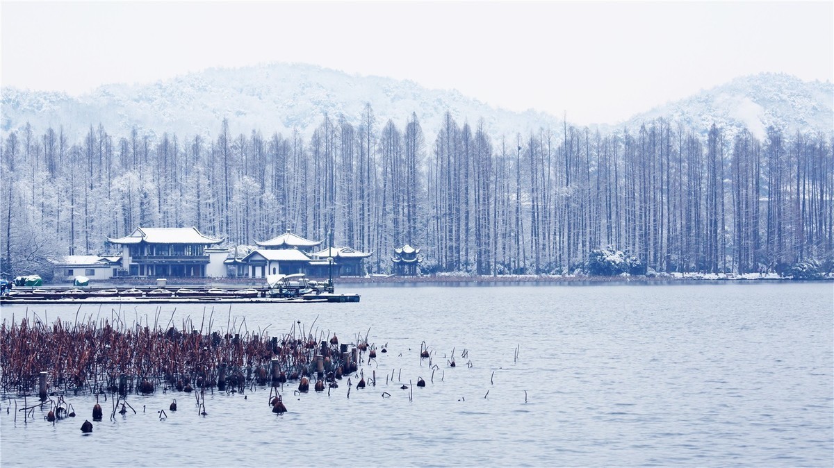 最美不过江南雪！