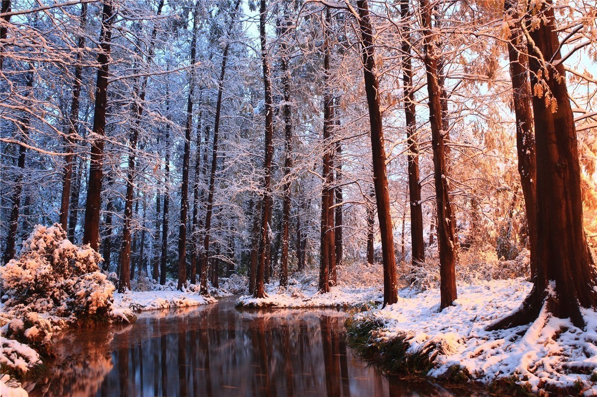最美不过江南雪！