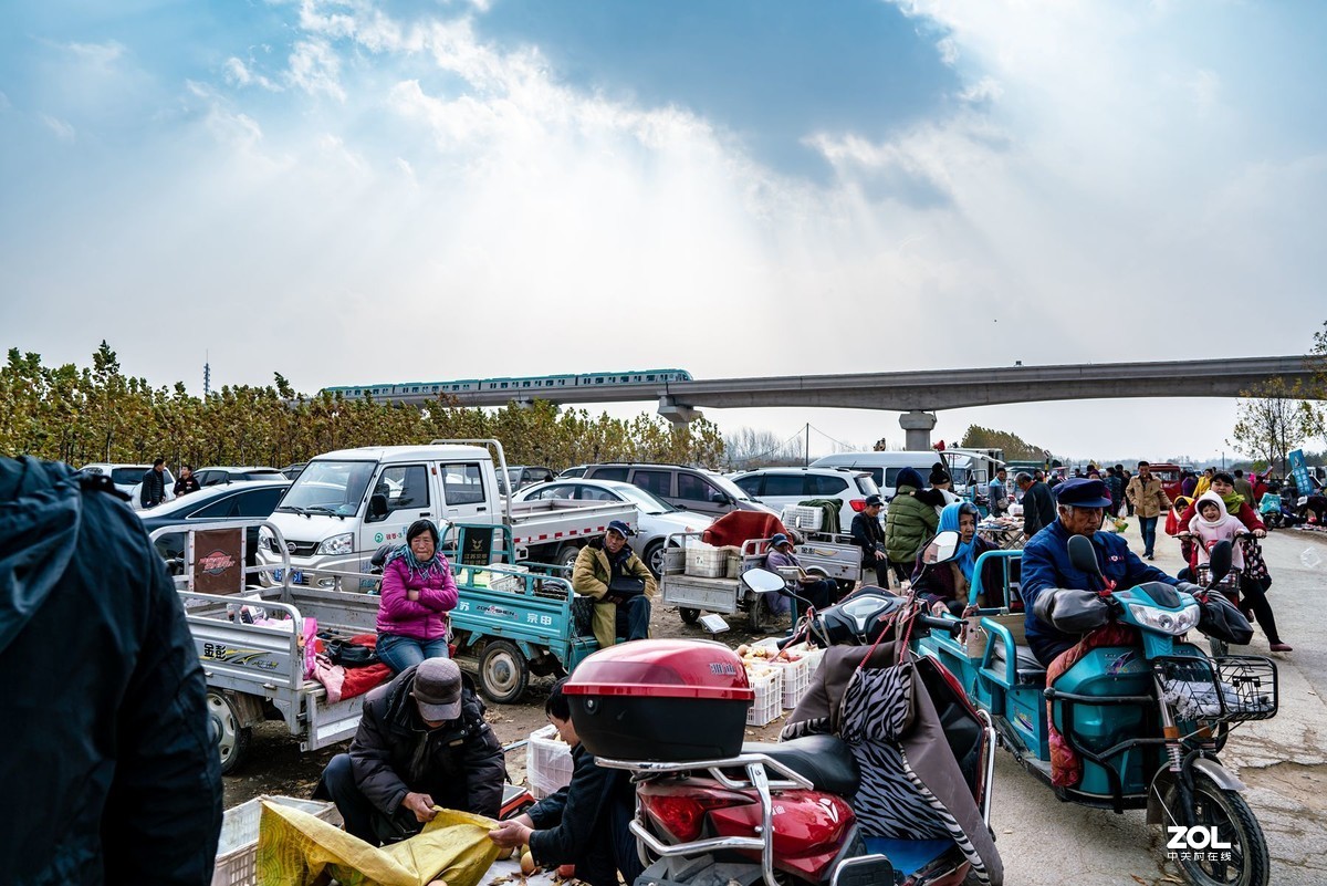 西海岸泊里大集纪实
