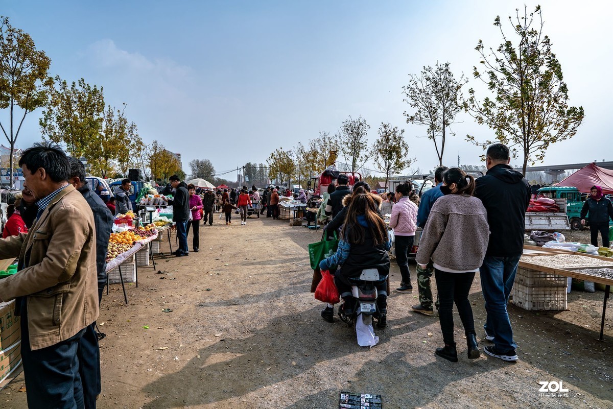 西海岸泊里大集纪实