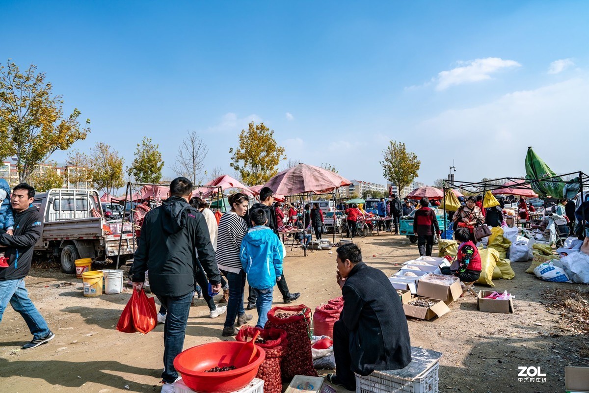 西海岸泊里大集纪实