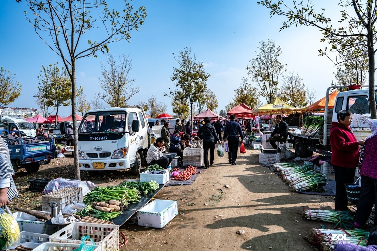 西海岸泊里大集纪实